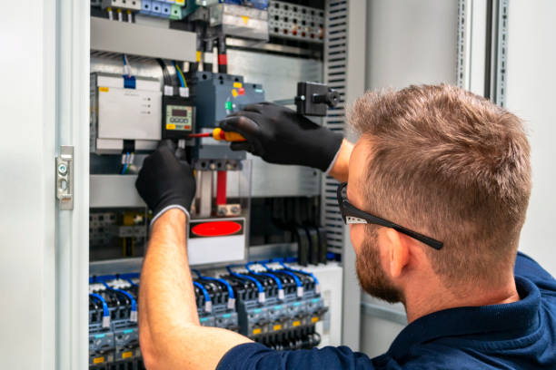 Best Electrical Panel Upgrades  in Walbridge, OH